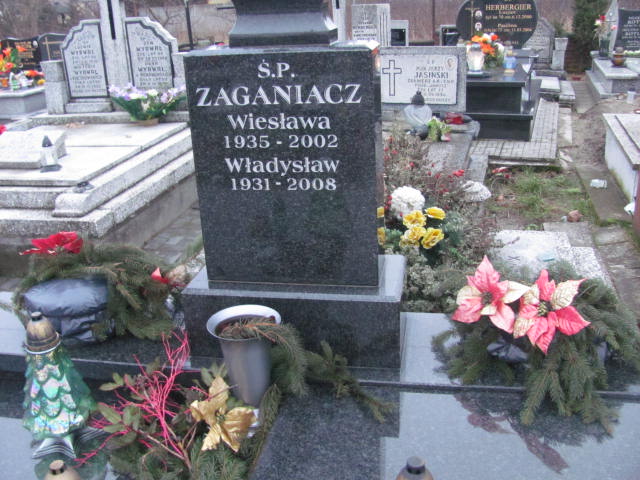 Ignacy Zaganiacz 1891 Włoszczowa - Grobonet - Wyszukiwarka osób pochowanych