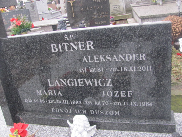 Grób Józef Langiewicz